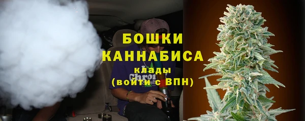 крисы Горно-Алтайск