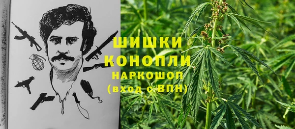 крисы Горно-Алтайск