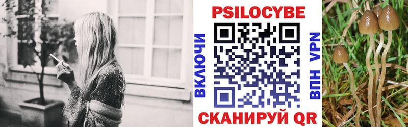 Псилоцибиновые грибы мухоморы  наркота  Ивдель 